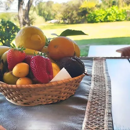 With Garden * Arzachena